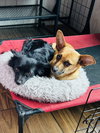 Milton and Marvin - Photo 2