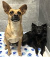 Milton and Marvin - Photo 1