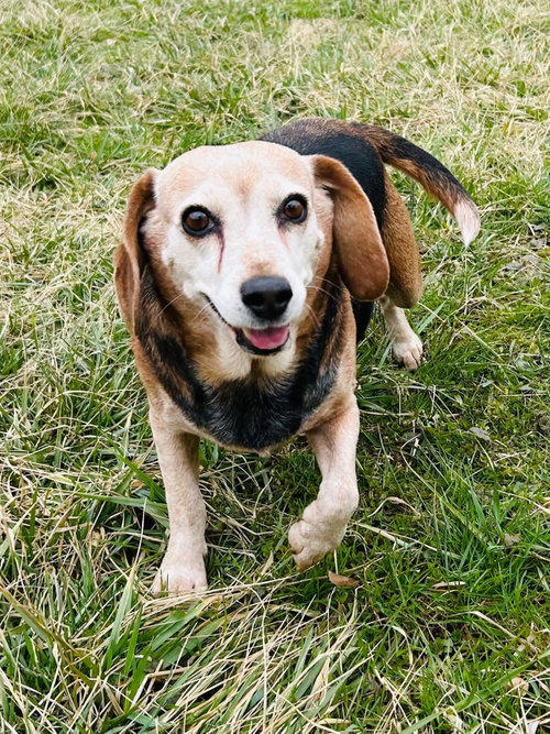 Bonnie, photo 2