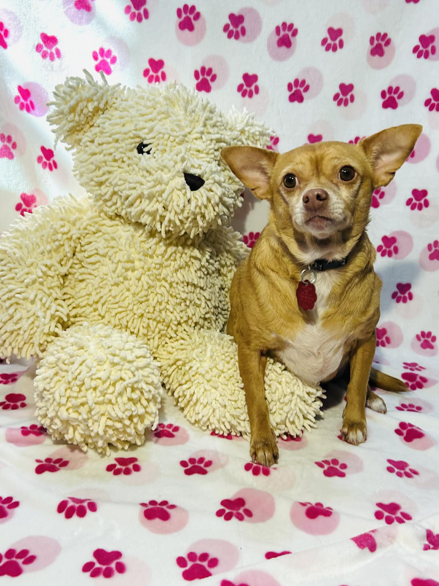 Amy Image