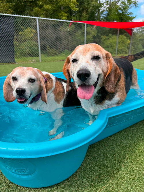 Photo 2 of Eugene & Ethel