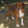 Shilo