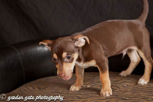 Spanky
