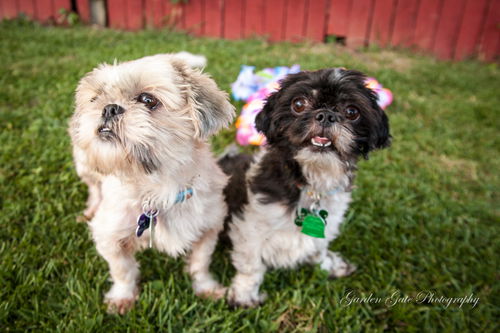 Bella and RuRu Varner