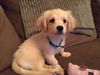 STANLEY