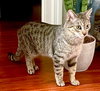 Timmy - Photo 1