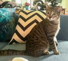 Timmy - Photo 2