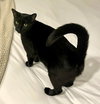 Lucy - Photo 1