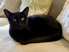 Lucy - Photo 2