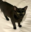Lucy - Photo 3