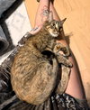 Layla - Photo 3