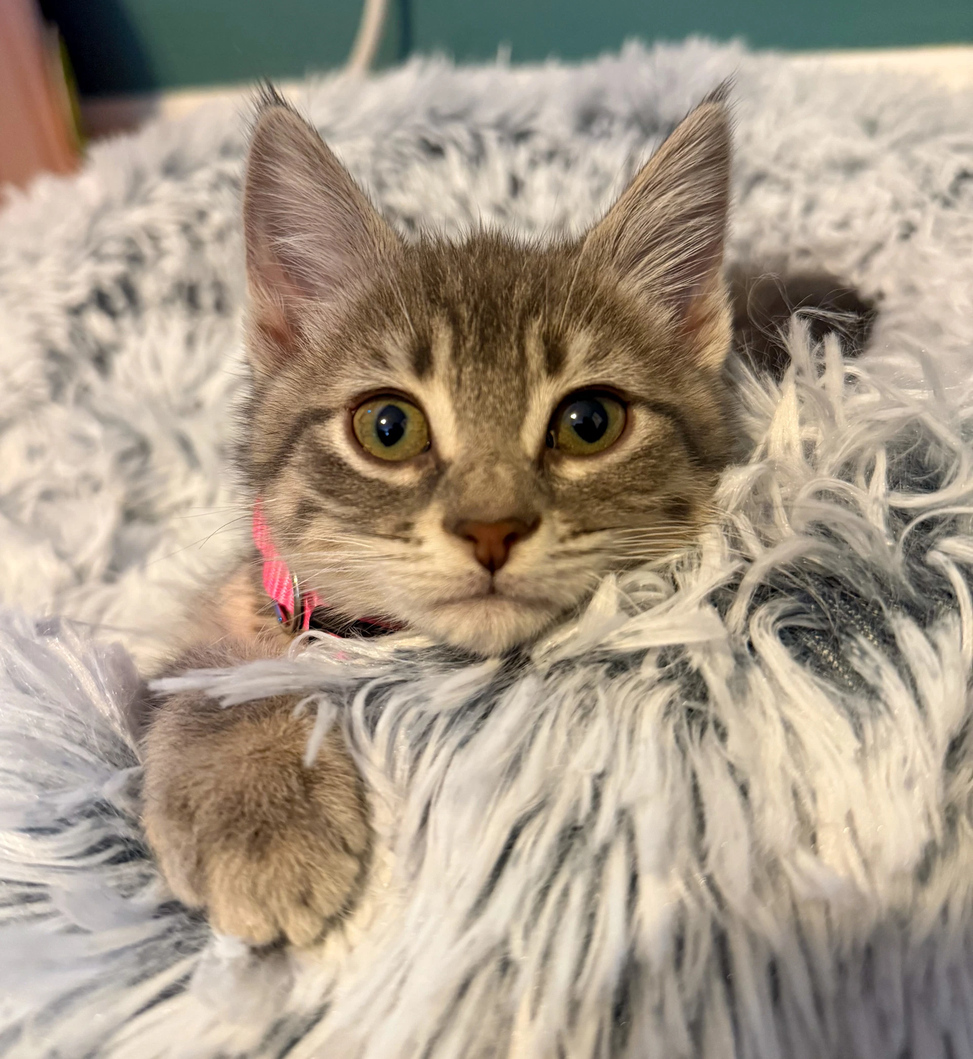 Melanie