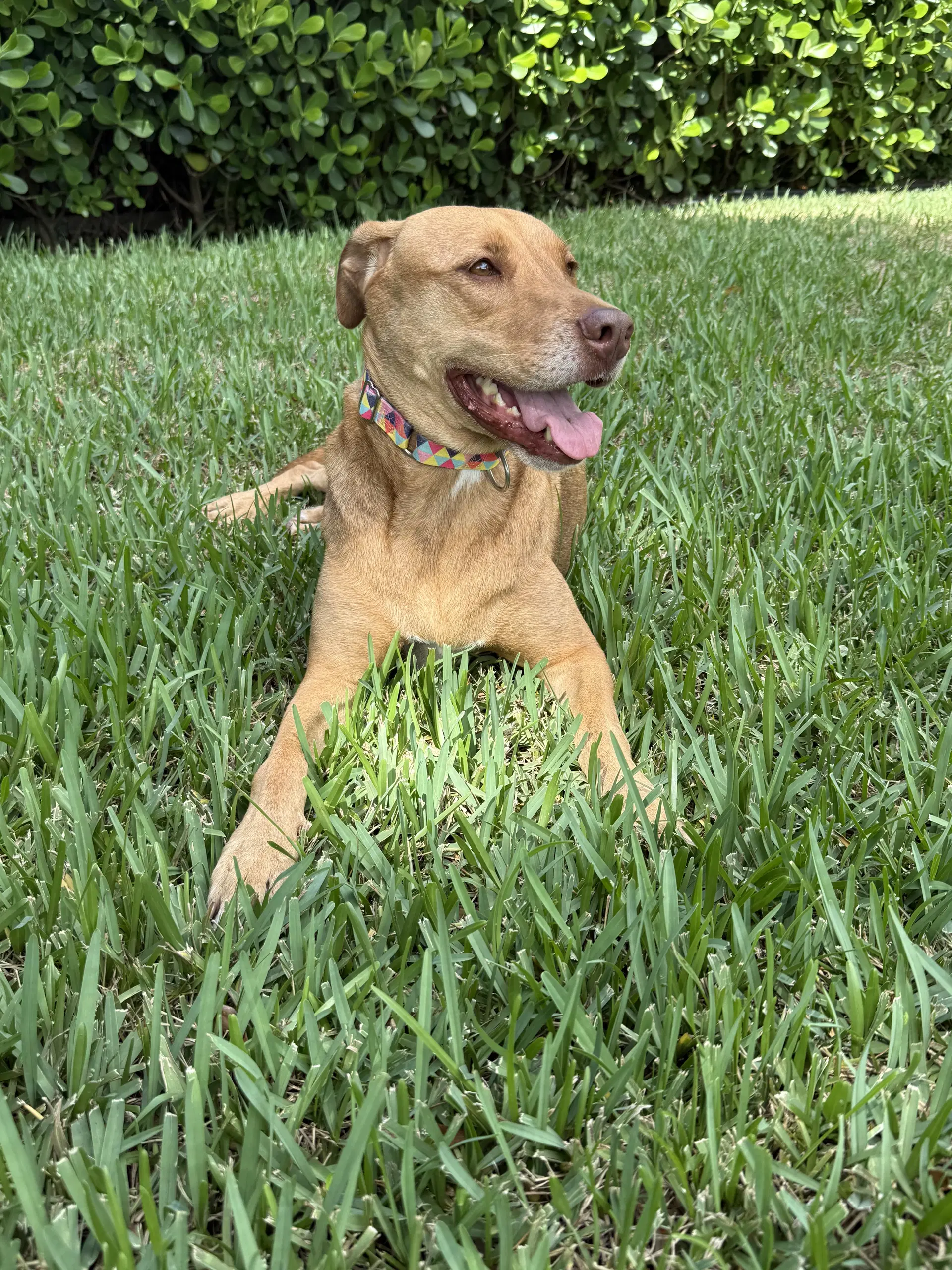 Anna image 4