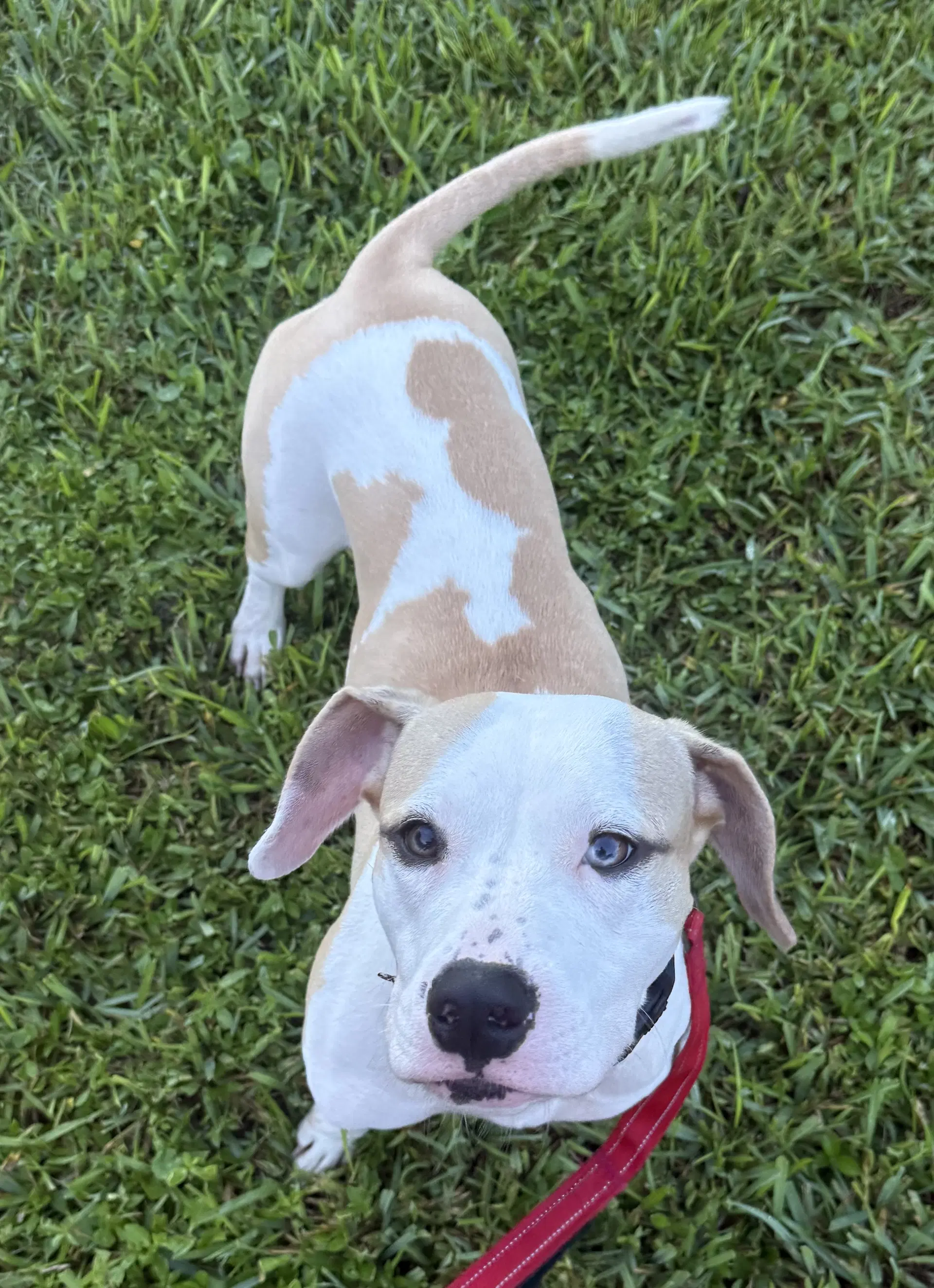 Annie image 2