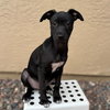 Sally - Photo 1