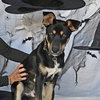 Chance - Photo 1