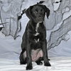 Dusky - Photo 1