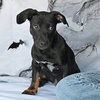 Skittles - Photo 1