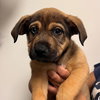 Tiny Timmy - Photo 1