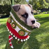 Snoopy - Photo 1