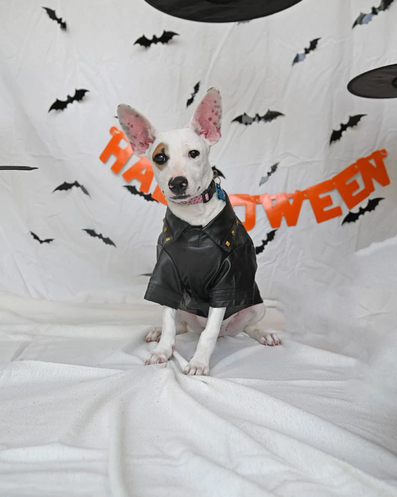 Chucky