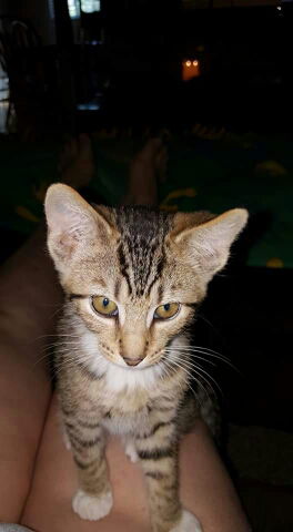 Timmy