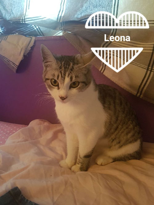 Leona