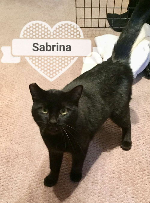 Sabrina