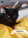 Sabrina