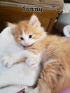Sonny