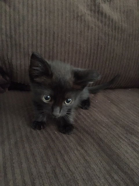 Crowley