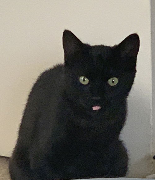 Cosmo