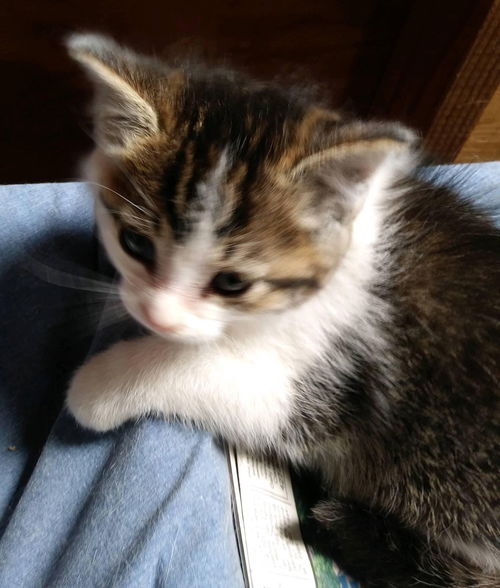 Twyla - Izzie