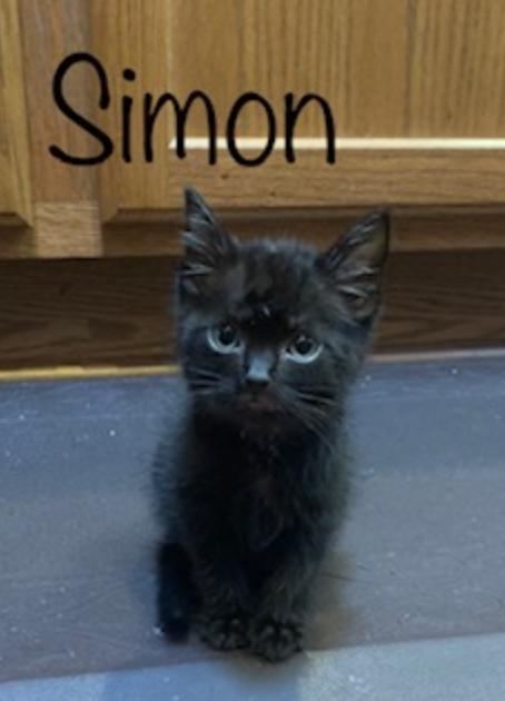 Simon