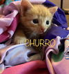 Churro