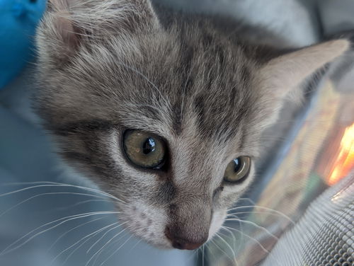 Stormie