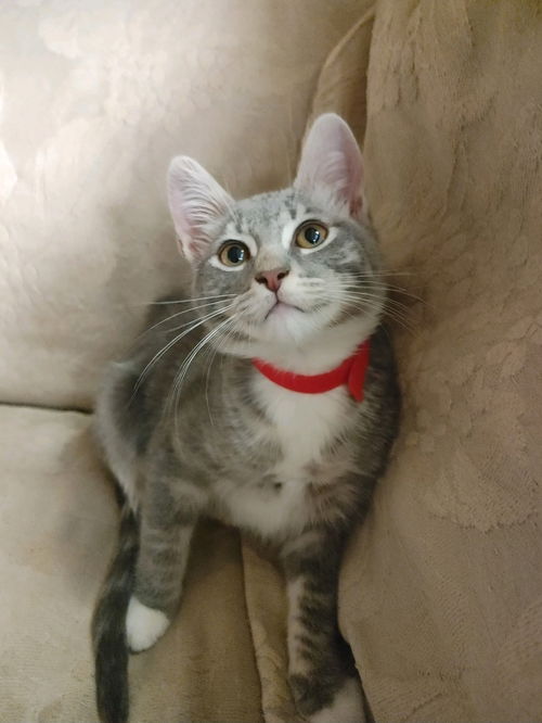 Tinker