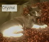 Crystal