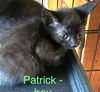 Patrick