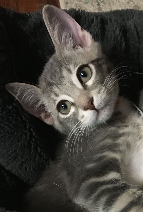 Duncan