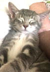Duncan