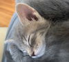 Tiny