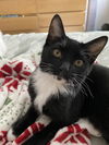 Salem