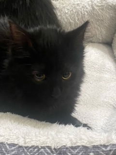Precious