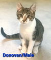 Donovan