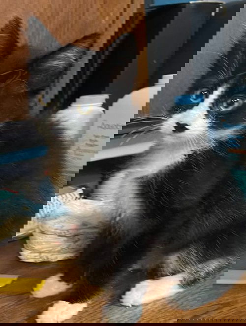 Thunder