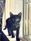 Suzanna