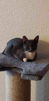 Oona