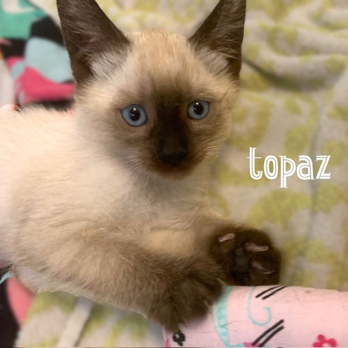Topaz/Topey