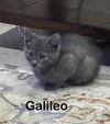 Galileo